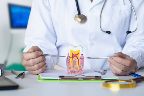 Best Emergency Dental Care for Abscessed Tooth in Goulds, FL